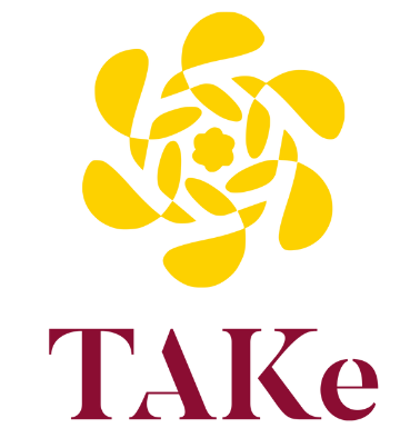 TAKe Brand Consulting Logo | Personal Branding | Professional Branding